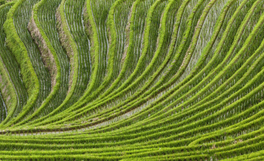 1228003 (a): :1920x1172